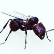 7.jpg ANT - DOWNLOAD ANT 3d Model - animated for Blender-Fbx-Unity-Maya-Unreal-C4d-3ds Max - 3D Printing ANT ANT - INSECT - POKÉMON - BUG - DINOSAUR - DRAGON - BEE
