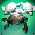 Turtle04.png TORTUE ARTICULÉE - Articulated Sea Turtle