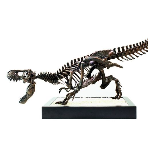 zrtsfd.jpg Download free STL file T-Rex Skeleton - Leo Burton Mount • 3D print object, HarryHistory