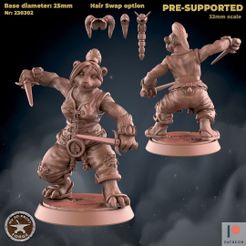 230302-Panda_Female_Rogue1.jpg Файл 3D Самка панды-ниндзя・Дизайн 3D принтера для загрузки