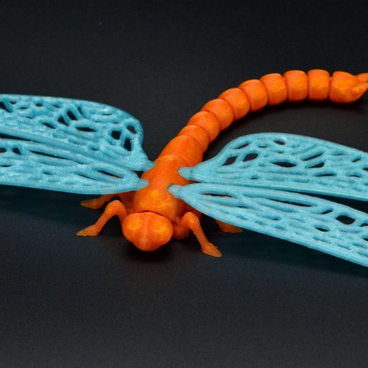 DSC_8158.jpg Flexi dragonfly