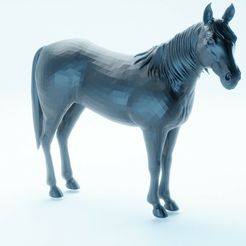 horse.jpg Fichier STL Cheval・Design pour impression 3D à télécharger