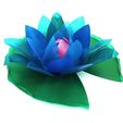 b2254511aed2603991fe518ff228c275_display_large.jpg Water Lily (with a hidden secret)
