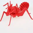 Red_Ant_Image_1.jpg Red Ant Puzzle