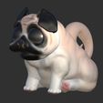 IMG_3559.jpg baby pug