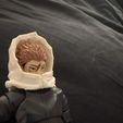 IMG_0364.jpg SHF modulo yuji hood piece