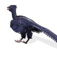 1.jpg BIRD RIGGED RAPTOR FILE FBX 3MF STL OBJ 3D PRINTING - DINOSAUR HORSE WINGS PREDATOR EAGLE