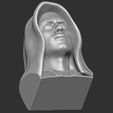 21.jpg Anakin Skywalker bust for 3D printing
