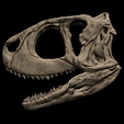 1.png Череп Ругопса