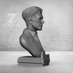 2.png STL file DAVID BOWIE BUST EASY PRINT・3D printer model to download