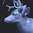 11_TDA0615_Deer_HeadA10.png Hirschkopf