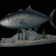 Greater-Amberjack-statue-1-2.png fish greater amberjack / Seriola dumerili statue underwater detailed texture for 3d printing