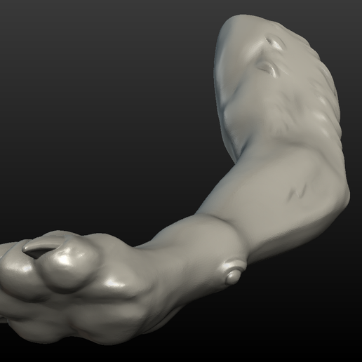 Wolf_Paw-013.png Wolf Paw