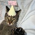 ANIMAL-PARTY-HAT-PLASTIC-3D-PRINT-by-qbed-2.jpg MEOW A WISH CAT PARTY HAT