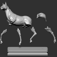 18.png Horse