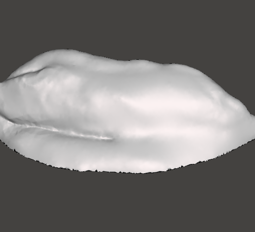 Blenderrand-2.png Positive edges climbing holds