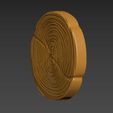 SE2.jpg Wood Slice Stump Cut trunk Tree cross-section