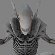 7_00000.jpg Alien Xenomorph 3D Print Model 3D print model