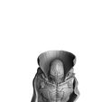 0015.jpg SPAWN FOR 3D PRINT FULL HEIGHT AND BUST
