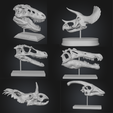 Captura-de-pantalla-2025-12-26-232156.png DINOSAURS SKULLS - PACK - 6 Models 3d