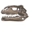 04.jpg Giganotosaurus skull in 3D