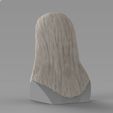 untitled.1743.jpg 3D file Dumbledore from Harry Potter bust for full color 3D printing・Model to download and 3D print