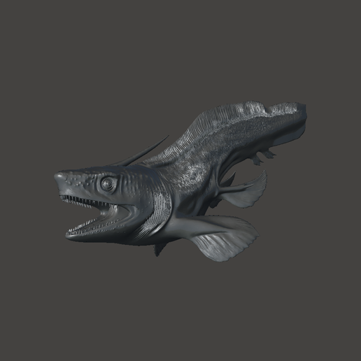 Xenacanthus prehistoric shark for dioramas 1/1 1/6 1/16 1/35 1/72 1/76 HO 1/87.1  O 1/48 G 1/12 1/24 1/32 28mm 1/56 scales