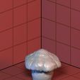 Large mushroom 2.jpg 3D Mushrooms