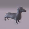 TeckelP_0001.jpg Dogs bundle