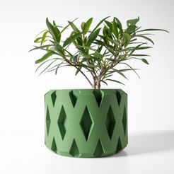 DSC00437.jpg The Rano Planter Pot with Drainage Tray & Stand: Modern and Unique Home Decor for Plants and Succulents  | STL File