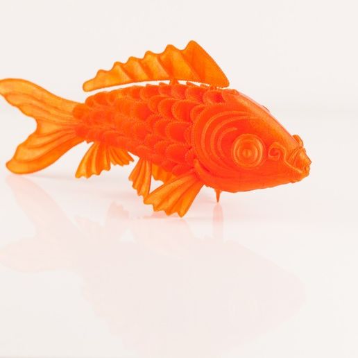 IMG_8475_display_large.jpg Рыбка кои "На таком полном море