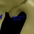 pelvis-types-hip-bone-labelled-detailed-3d-model-bf1dc19bac.jpg Pelvis types hip bone labelled detailed 3D model