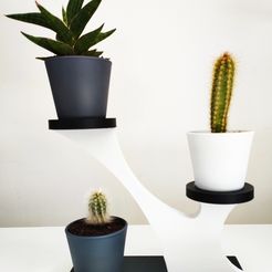 support_cactus.jpg 3D-Datei Pflanzenunterstützung kostenlos・3D-druckbares Objekt zum herunterladen