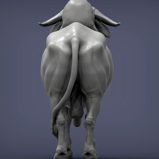 Gyr-Bull5.jpg Gyr Bull 3D print model