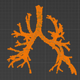 25.png 3D Model of Cardiovascular System, Thorax and Abdomen