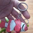 20230625_113351.jpg Nemo fish