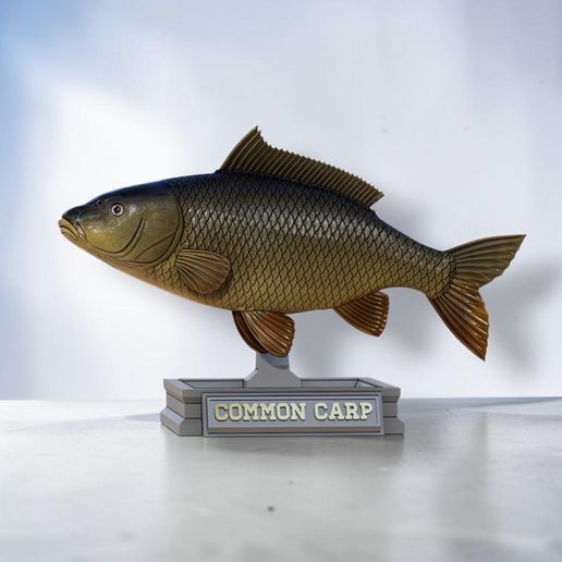 fish in motion 4 common carp (CYPRINUS CARPIO) font base in trophy statue for 3d printing