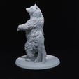 20230907_163956.jpg Grizzly Bear and Scenic Base Presupported