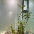 WhatsApp-Image-2025-07-29-at-12.41.17-PM.jpeg Round pot with aquarium base