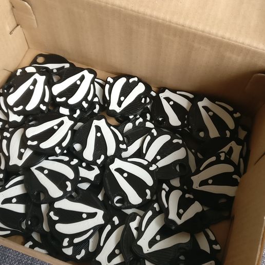 2017-03-29 08.55.38.jpg Porta-chaves de texugo