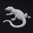 33.png Gargoyle Gecko Pet Reptile