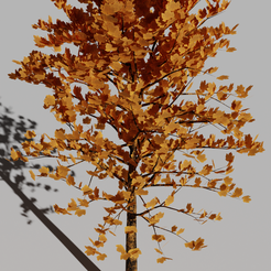 Tree_01.png Trees 3D model