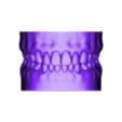 Teeth_OBJ.obj Dental Human Teeth model