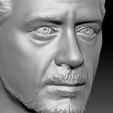 15.jpg Tony Stark Robert Downey Jr Iron Man bust for 3D printing