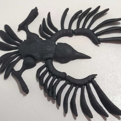 WhatsApp-Image-2023-09-16-at-18.41.50-2.jpeg Raven Crow Skull Flexi