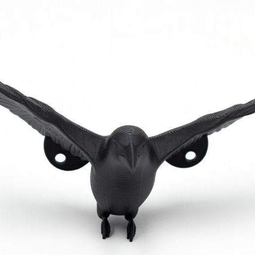 Raven Watcher Wall Art - Symmetrical Winged Raven