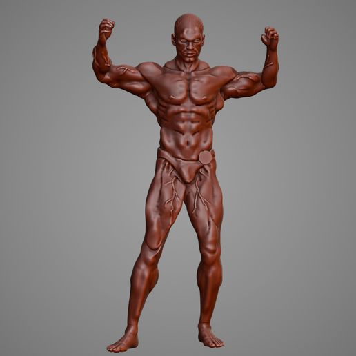 Competitive bodybuilding