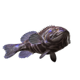 PNGT.png DOWNLOAD Coral Fish 3D MODEL - ANIMATED for 3D printing - maya - 3DS MAX - UNITY - UNREAL - BLENDER - C4D - CARTOON - POKÉMON - Coral Fish Goby Epinephelinae Epinephelus bruneus