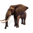 007.png Низкополигональный слон Саванна 3D модель