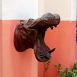 20220624_124501.jpg hippo head wall mount decor mouth open STL